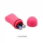 Fancy Clamshell Panty Vibrator Buy Sex toys online in India Delight Toys